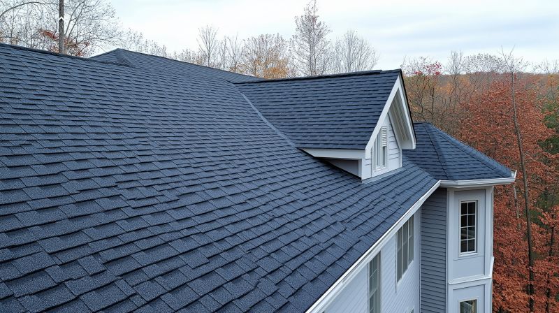 New Roof Materials